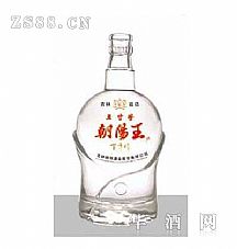 RS-028-500ml